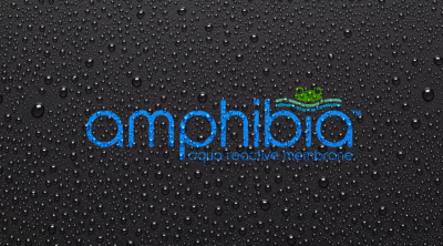 AMPHIBIA