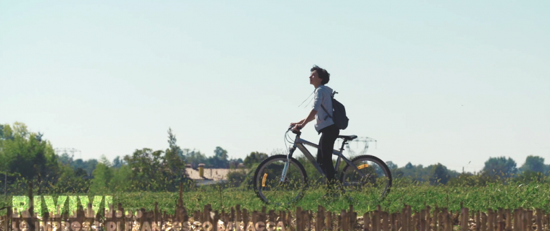 RILASSATI... SEI A QUINTO